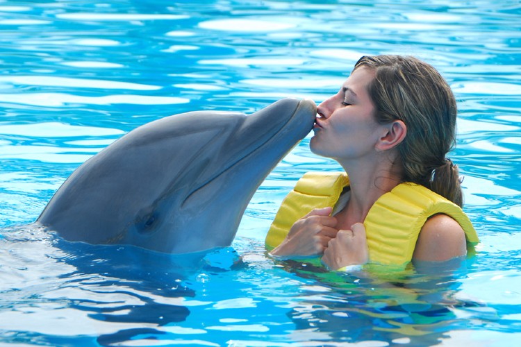 Плавание с дельфинами